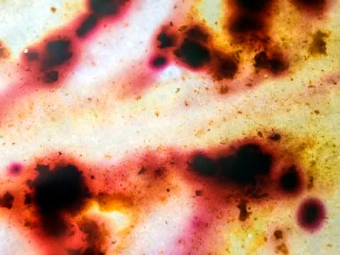 Colored abstractions Stock Photos