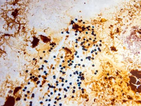 Colored abstractions Stock Photos