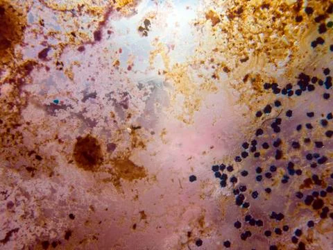 Colored abstractions Stock Photos