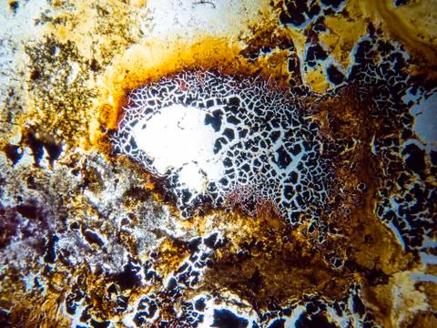 Colored abstractions Stock Photos