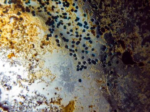 Colored abstractions Stock Photos