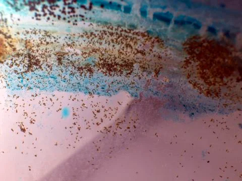 Colored abstractions Stock Photos