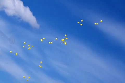 Colored and multi-colored gel balloons are flying in a group of bright blue s Stock Photos
