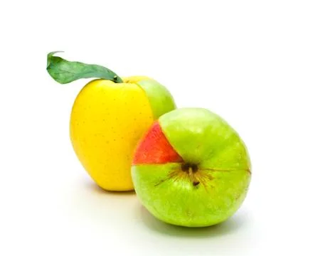 Colored apples on a white background Stock Photos