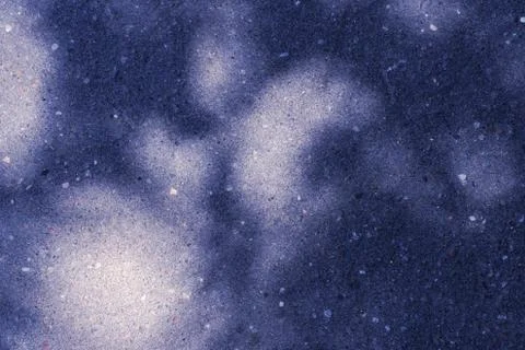 Colored asphalt surface with the shadow of tree branches close up. Abstract b Foto stock