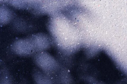 Colored asphalt surface with the shadow of tree branches close up. Abstract b Foto stock