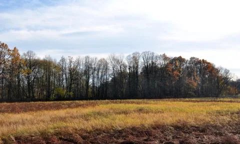 Colored autumn Stock Photos