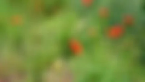 Colored background deliberately out of focus designed to give the impressio.. Stock Photos