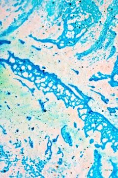 Colored background Stock Photos