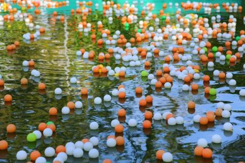 Colored balls on the water Stock Photos