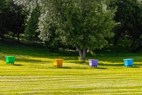 Colored bee hives in an apiary, close-up. Stock Photos