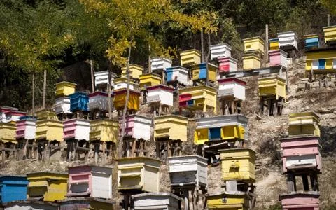 Colored beehives Stock Photos