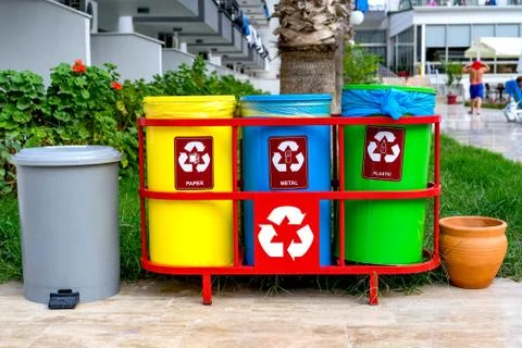 Colored bins to separate waste types. Waste recycling and eco concept. Stock Photos
