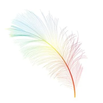 Colored Bird Feather Hand Drawn Background Illustration Stock-Illustration