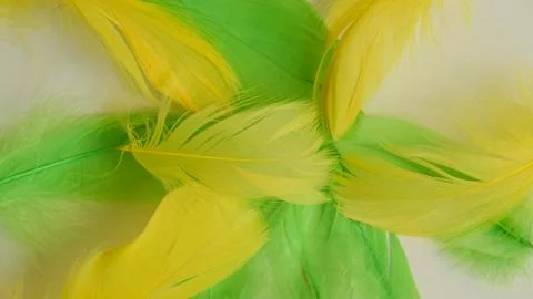 Colored bird feathers in different combinations, boa - female accessory Foto stock