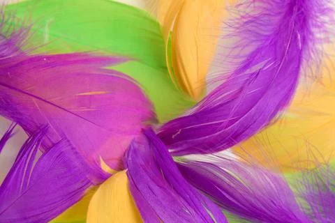 Colored bird feathers in different combinations, boa - female accessory Foto stock