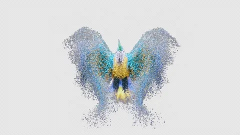 Colored Bird Particles Flaps WIngs On Alpha Loop Stock Footage 281959528
