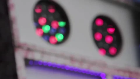 Colored Blinking Lights Stock Footage 146333306