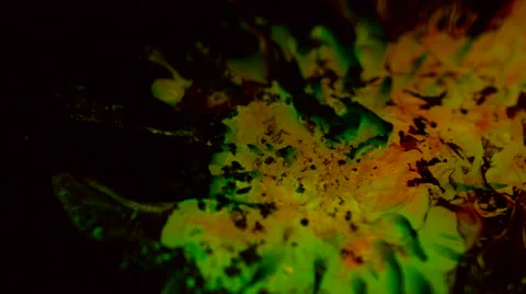 Colored blobs of neon algae floating in liquid against black big cleoseup Stock Footage 63871511