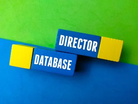Colored block with text DIRECTOR DATABASE Stock Photos