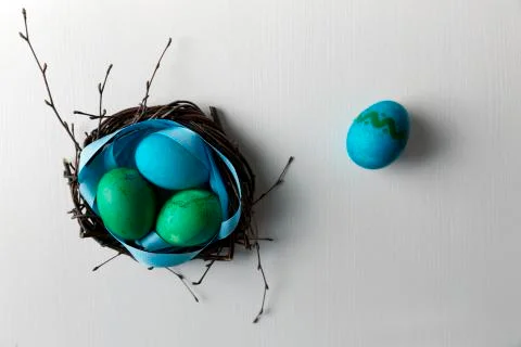 Colored blue easter eggs in twig nest. Happy easter concept. Greeting card Fotos de archivo