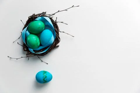 Colored blue easter eggs in twig nest. Happy easter concept. Greeting card Stock Photos