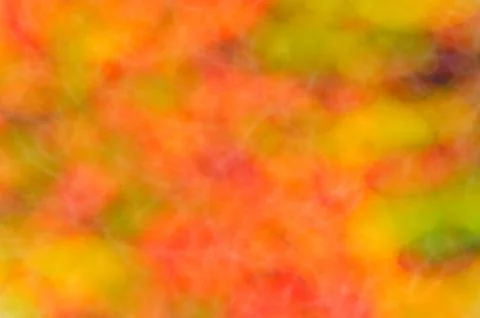Colored blurs Stock Photos