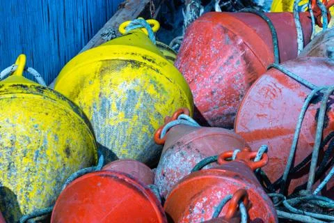 The colored boas Stock-Fotos