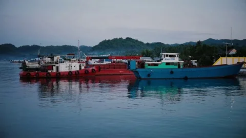 Colored boats parked 動画素材 82806987