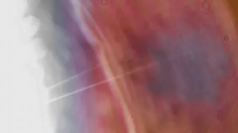 Colored bokeh, Foto stock