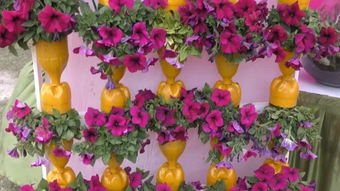 Colored bottles and plants in them for decoration on the wall. Stock Footage 126772156