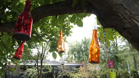 Colored bottles in the tree 스톡 동영상 137643059