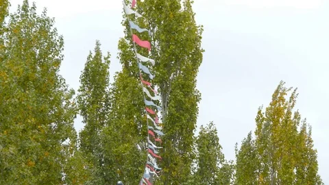 Colored boxes in the Park Stock Footage 81376133