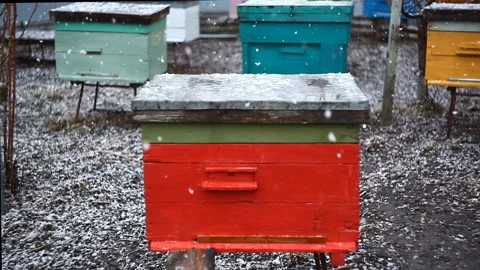 Colored bright beehive during snow in spring. 库存影片 106602879