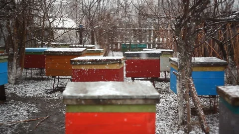 Colored bright beehive during snow in spring. 库存影片 106603193