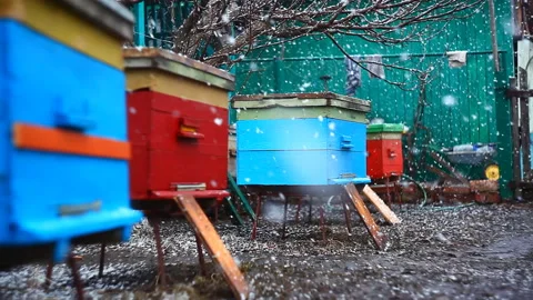 Colored bright beehive during snow in spring. 库存影片 106603549