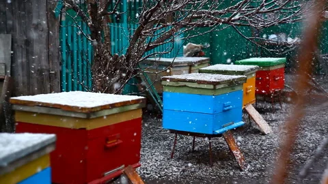 Colored bright beehive during snow in spring. 库存影片 106603941