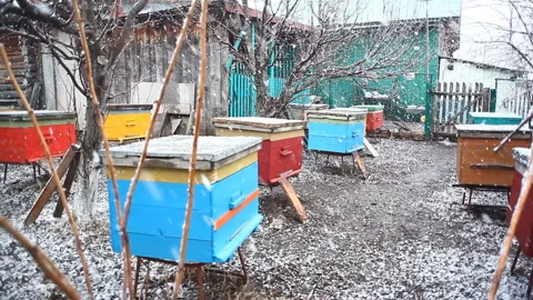 Colored bright beehive during snow in spring. 库存影片 106604038