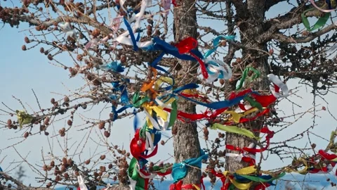 Colored bright ribbons tied to a tree. Buddhist ritual, tradition. Island oh Stock Footage 228883308