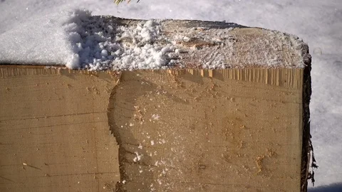 Colored broom in winter sweeps the snow from cross-section of a tree. cleaning Stock Footage 81663995