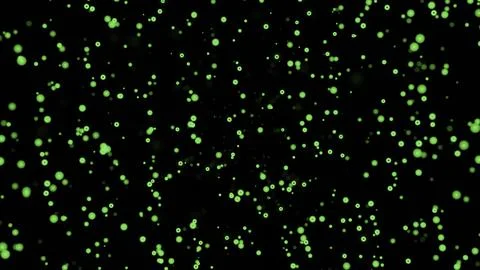 Colored bubbles rise on black background. Design. Animation of stream of bubbles Stock Illustration