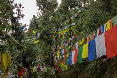 Colored Buddhist flags with mantras in the forest Stock Photos