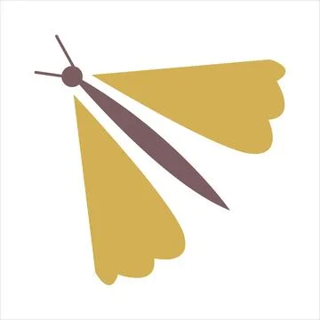 Colored butterfly hand drawn vector Stock Illustration