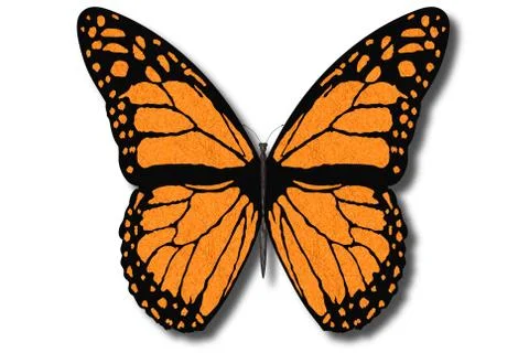 Colored butterfly with open wings -3D illustration. 스톡 일러스트