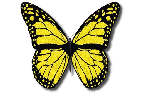 Colored butterfly with open wings -3D illustration. 스톡 일러스트