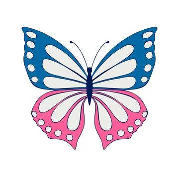 Colored Butterfly , vector illustration, icon. Stock Illustration