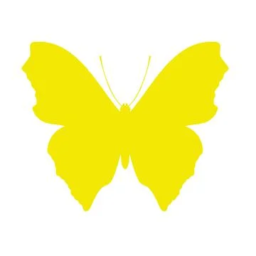 Colored Butterfly , vector illustration, icon. Stock Illustration