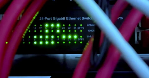 Colored cables and ethernet connections with multi-color led servers Stock Footage 270082576