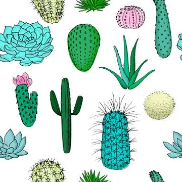 Colored cactuses seamless pattern, hand drawn vector illustration. Succulent Illustrazione stock