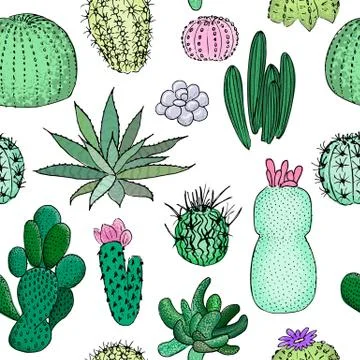 Colored cactuses seamless pattern, hand drawn vector illustration. Succulent Stock Illustration
